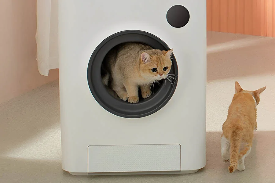 odorless cat litter box